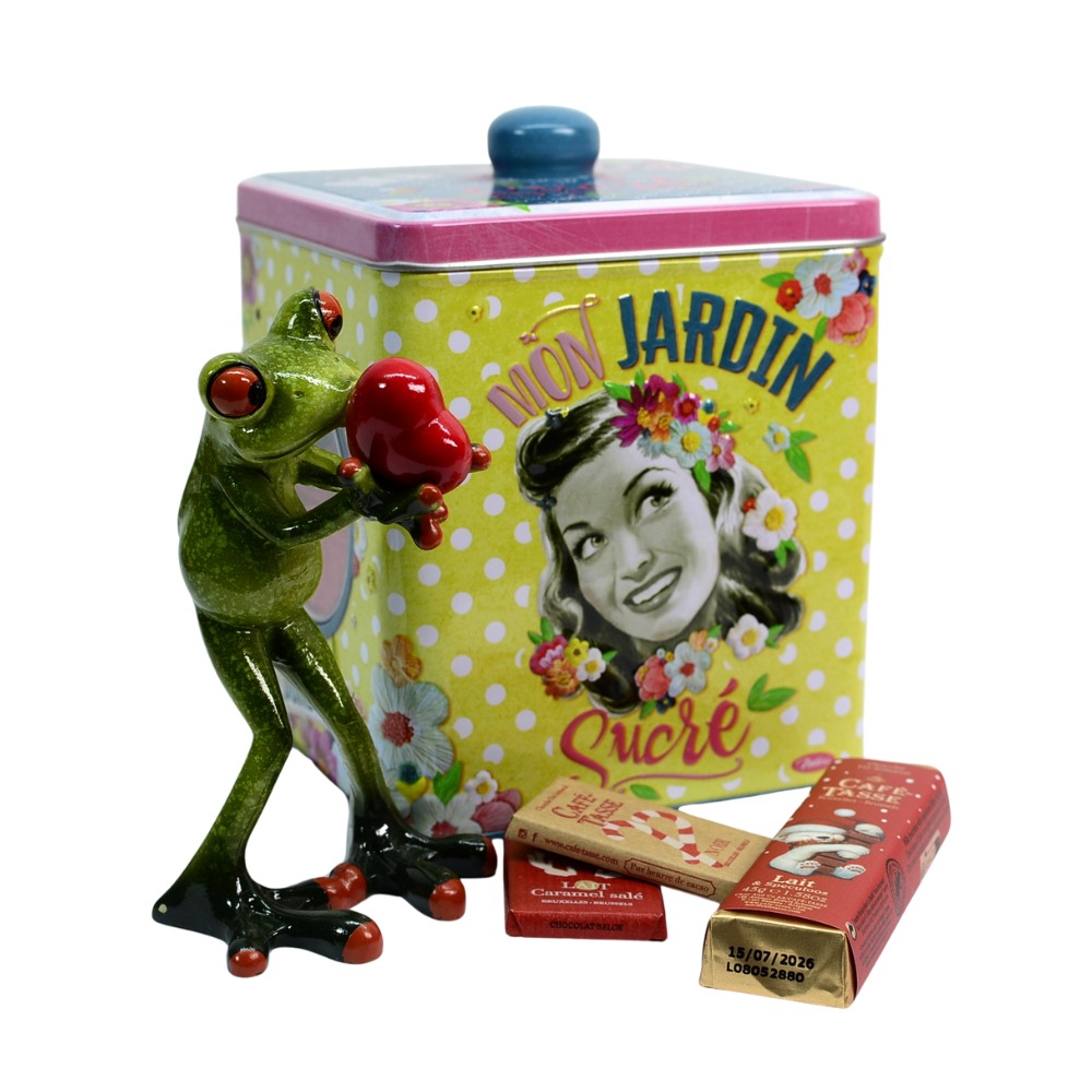 Darček pre ženu - Darčeková krabica so žabiakom so srdiečkom